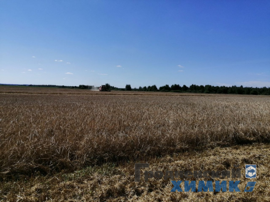 photo_2022-08-04_12-55-27 (3).jpg